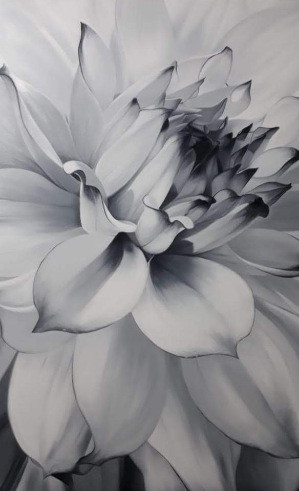 Monochrome dahlia in full bloom, oil on canvas